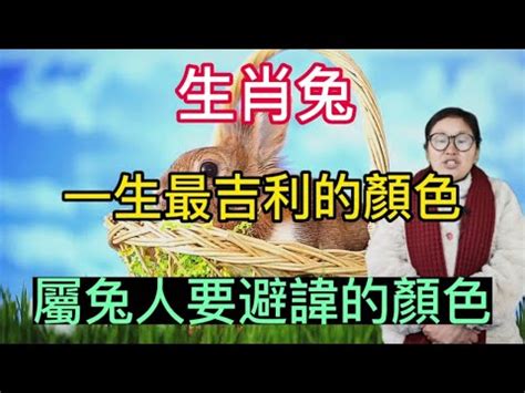 屬兔適合什麼顏色|屬兔人避黴運色彩